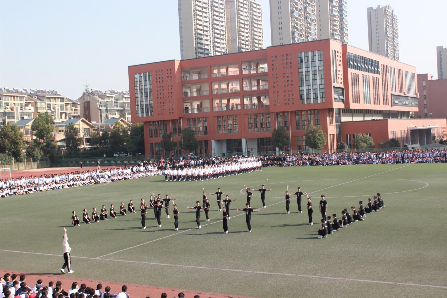 202011102327430110.JPG